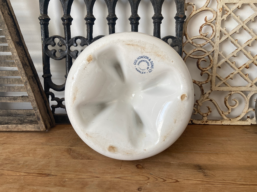 Thumbnail: Edwardian E’Ware ironstone poultry water trough/feeder