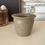 Thumbnail: Vintage French stoneware pot