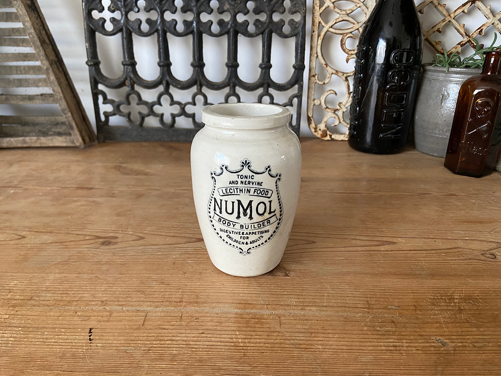 Thumbnail: Antique stoneware Numol Body Builder pot