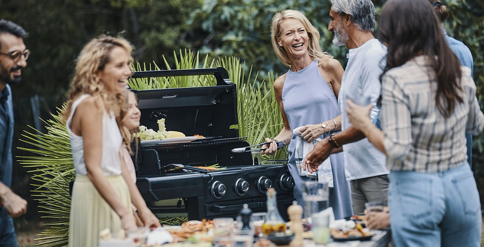 Прев'ю: Гриль серії 4 Onyx S Campingaz