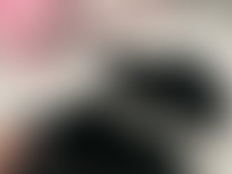 New Spring 2024 Favorites: Amazon Finds, K-Dramas, Romantasy, Makeup, and more
