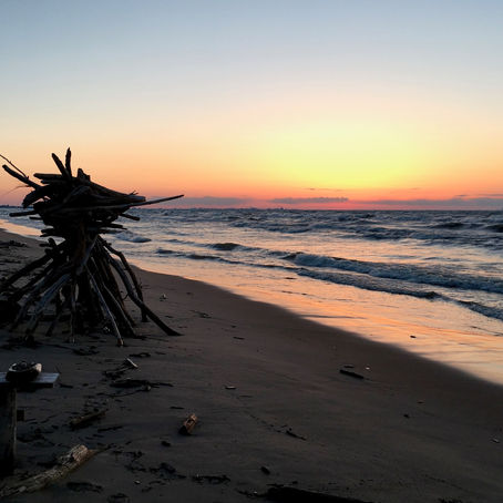 Group who calls themselves, "DuneAmorés", will live on beach.