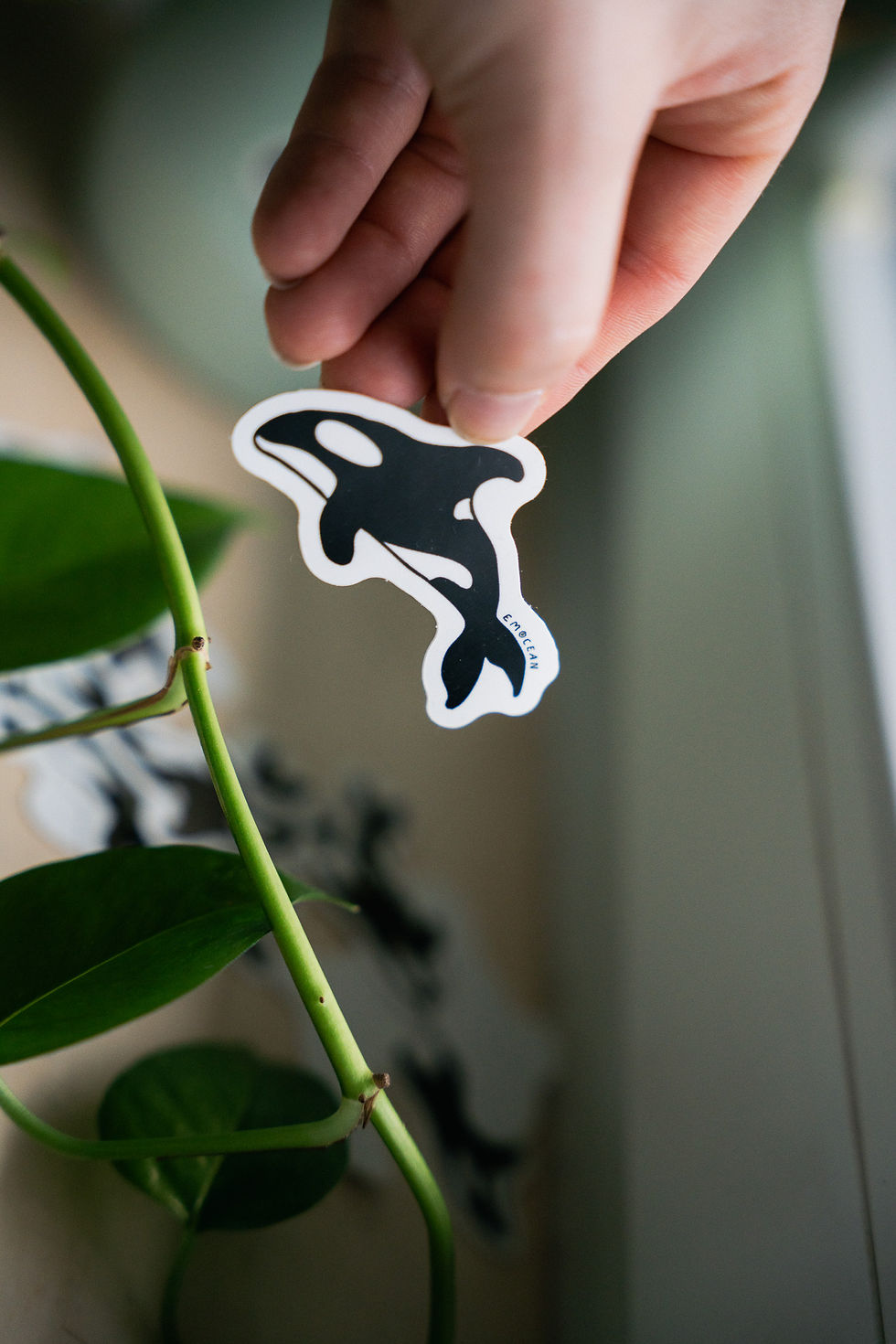 Thumbnail: Orca Sticker schwarz-weiß