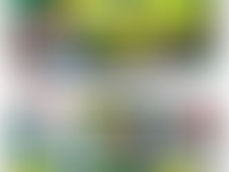 江東区 交通事故