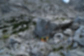 Austria 100_Tilt_Shift.jpg