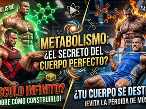 ¿Qué significan el anabolismo, el catabolismo y el metabolismo?