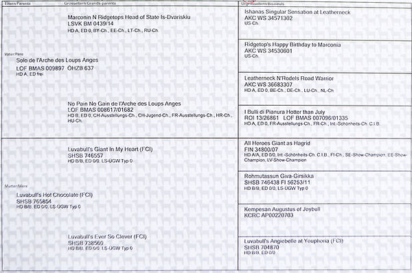 jeff pedigree_edited.jpg