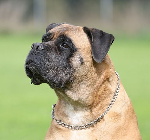 clever head sept 25 3.jpg