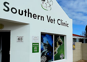 Southern Vet