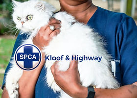 Kloof & Highway SPCA