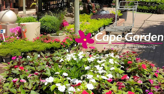 The Cape Garden Centre in Somerset West.