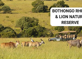 A grassy plain in the Bothongo Rhino & Lion Nature Reserve