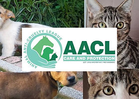 Animal Anti-Cruelty League JHB