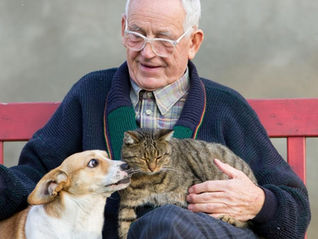 Elderly gentleman sitting on a red bench with a striped cat on his lap and a small dog by his side.