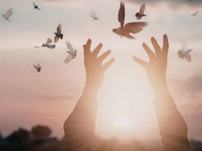 Hands releasing doves at sunset.