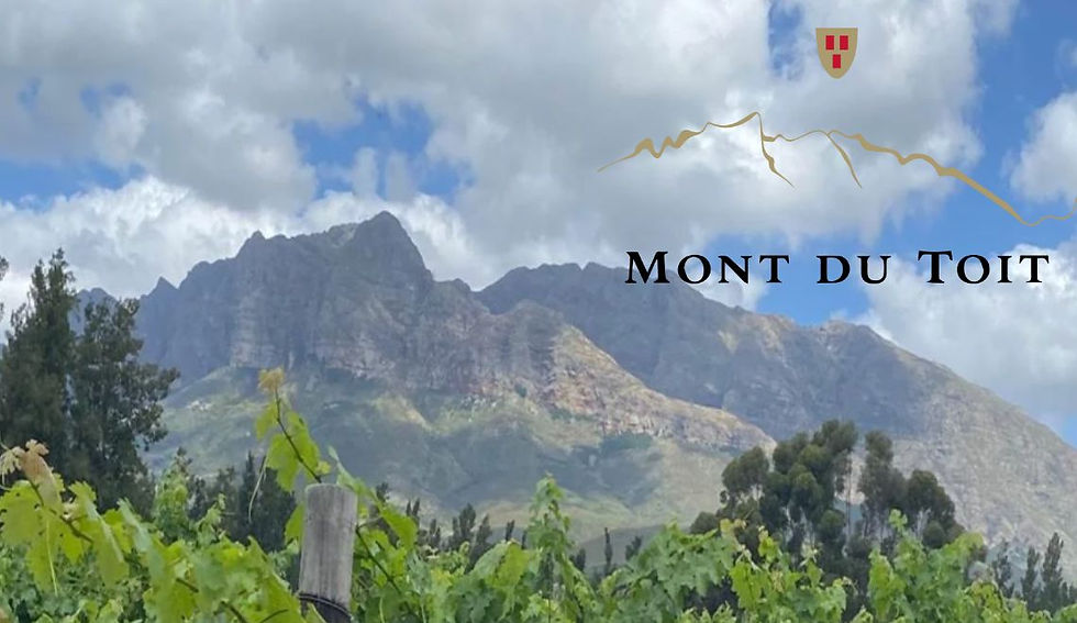 Image of a vineyard with mountains in the background.