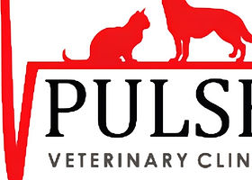 Pulse Veterinary Clinic