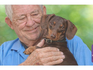 A pensioner with his dog on holiday