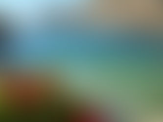 A New Gallery - Mani!