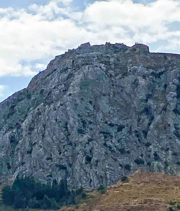 IMG_1964crop.jpg