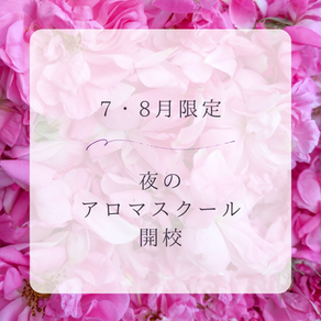 ７・８月限定