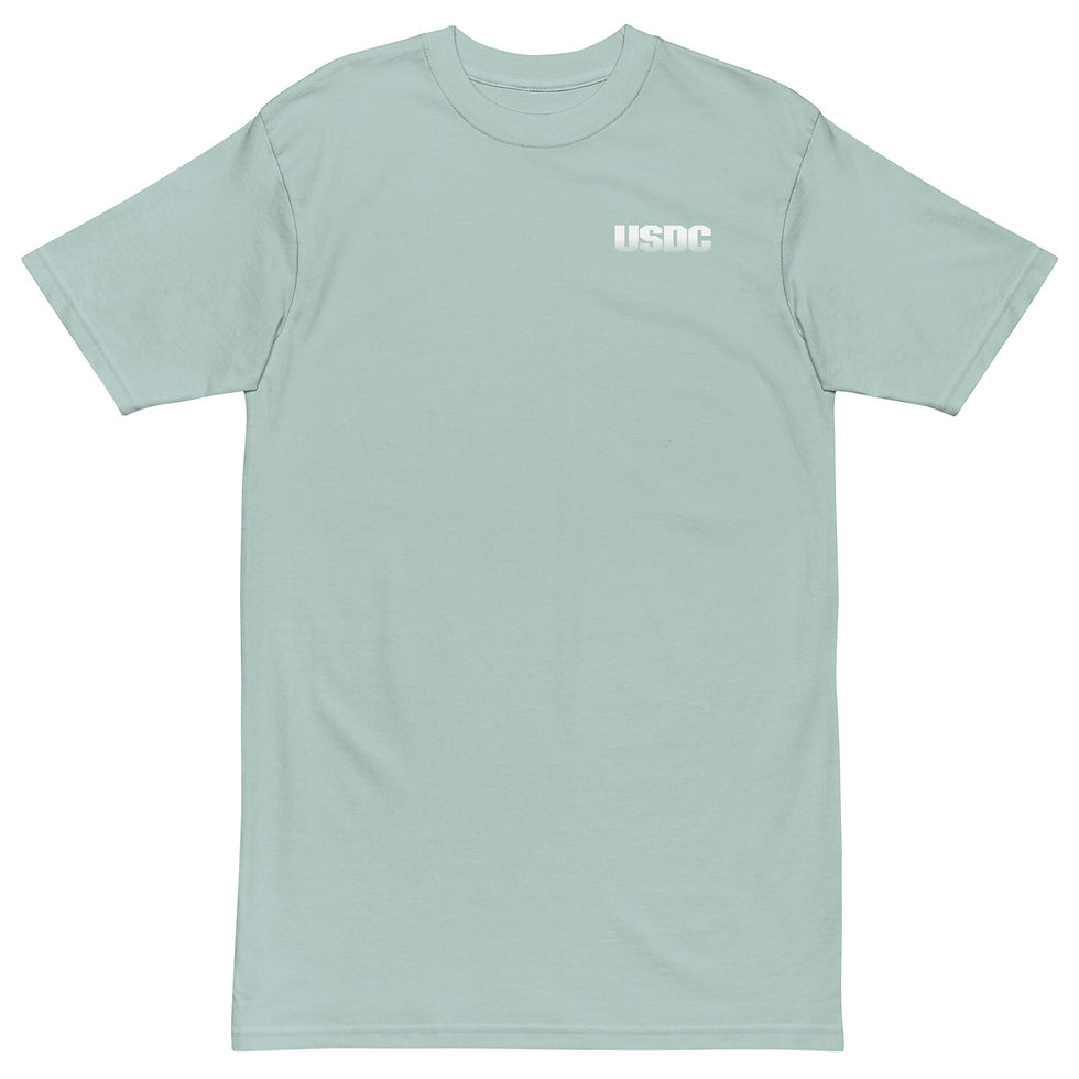 Thumbnail: USDC "Rule of Stupid" Premium heavyweight t-shirt