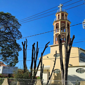 Poda preventiva é realizadas nas árvores do pátio