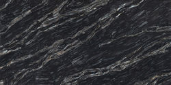 Black Aurelia