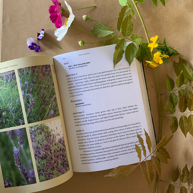 Thumbnail: open pages of The Forager's Treasury book with flowers and leaves around the frame