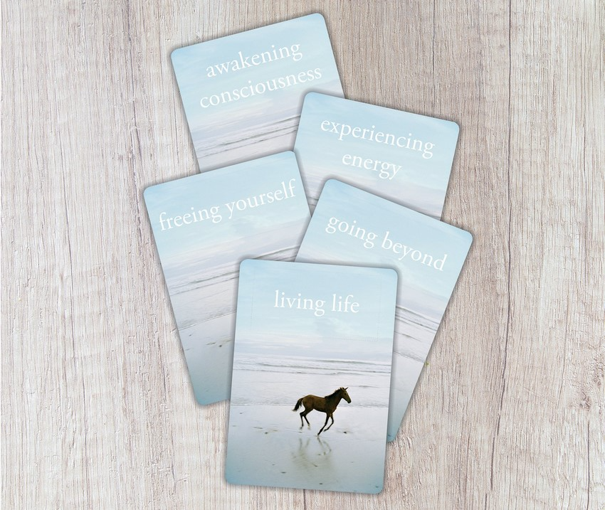 Thumbnail: pale blue and grey card deck with a black horse on the cover - the untethered soul