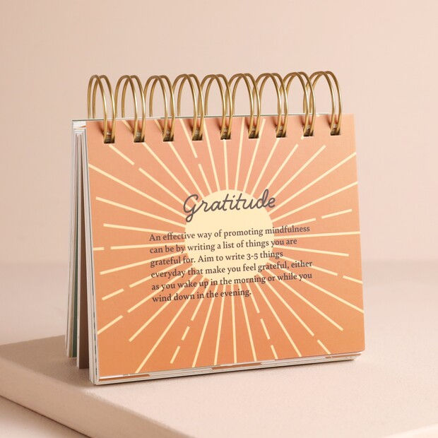 Spiral-bound Daily Mindfulness Flip Chart with colourful illustrated prompt pages.
