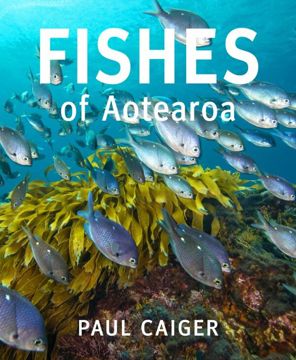 Fishes of Aotearoa by Paul Caiger book cover showing a school of fish swimming over kelp underwater.