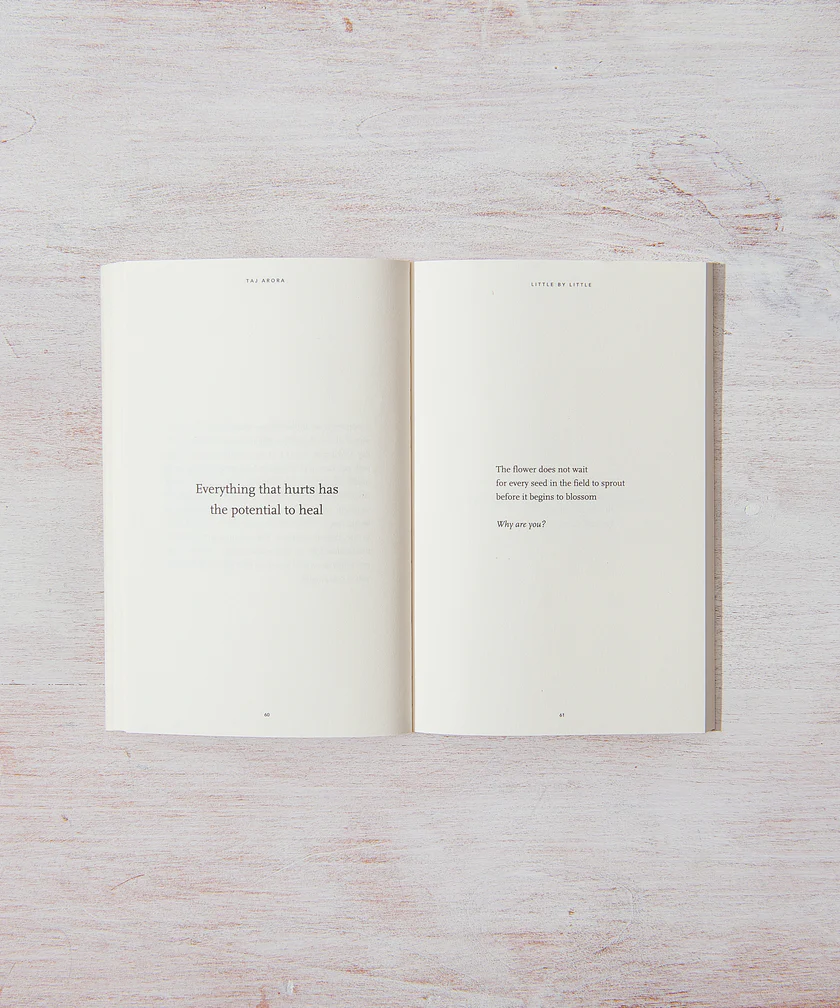 Thumbnail: inside pages of book little by little