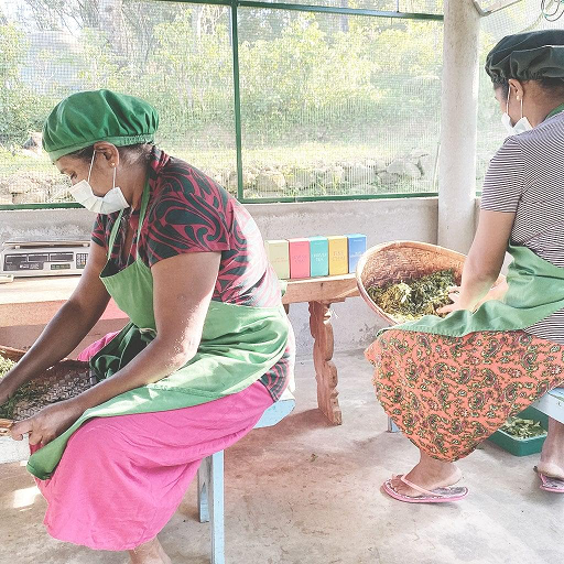 Thumbnail: pickers pocket tea artisans processing tea