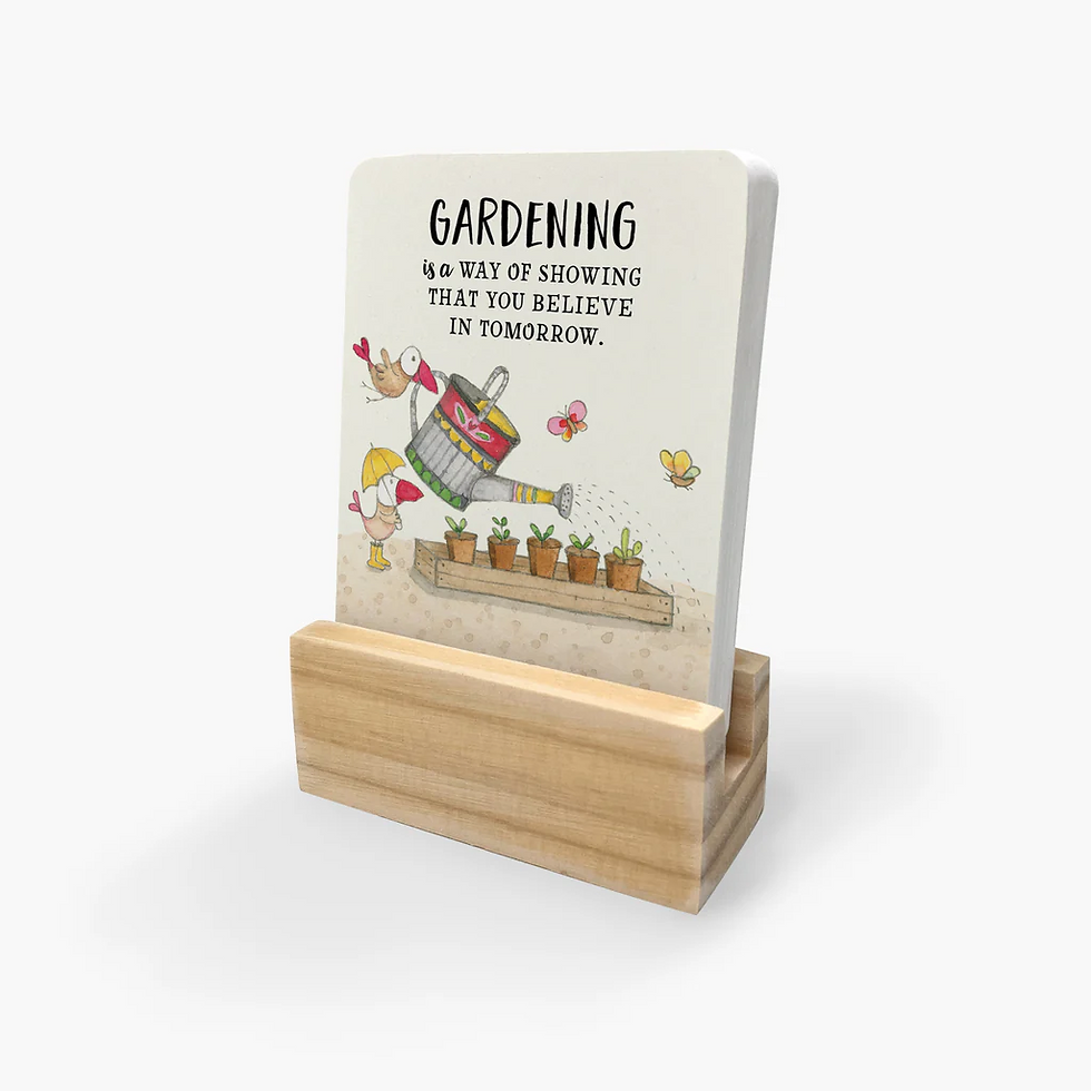 Thumbnail: Twigseeds Up The Garden Path affirmation cards displayed on timber stand