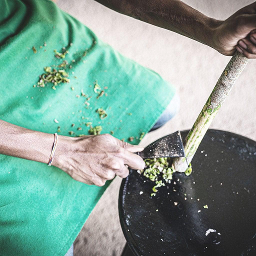 Thumbnail: pickers pocket tea artisan processing tea