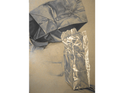 Paper Bag Study