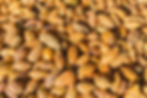 vecteezy_top-view-of-fresh-cocoa-pods-in-factory_6240226.jpg