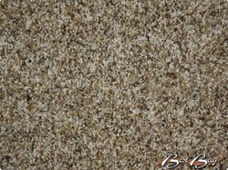 Bestbuy carpet