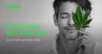 Not a Hero, Not a Villain.