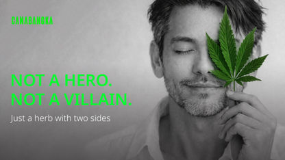 Not a Hero, Not a Villain.