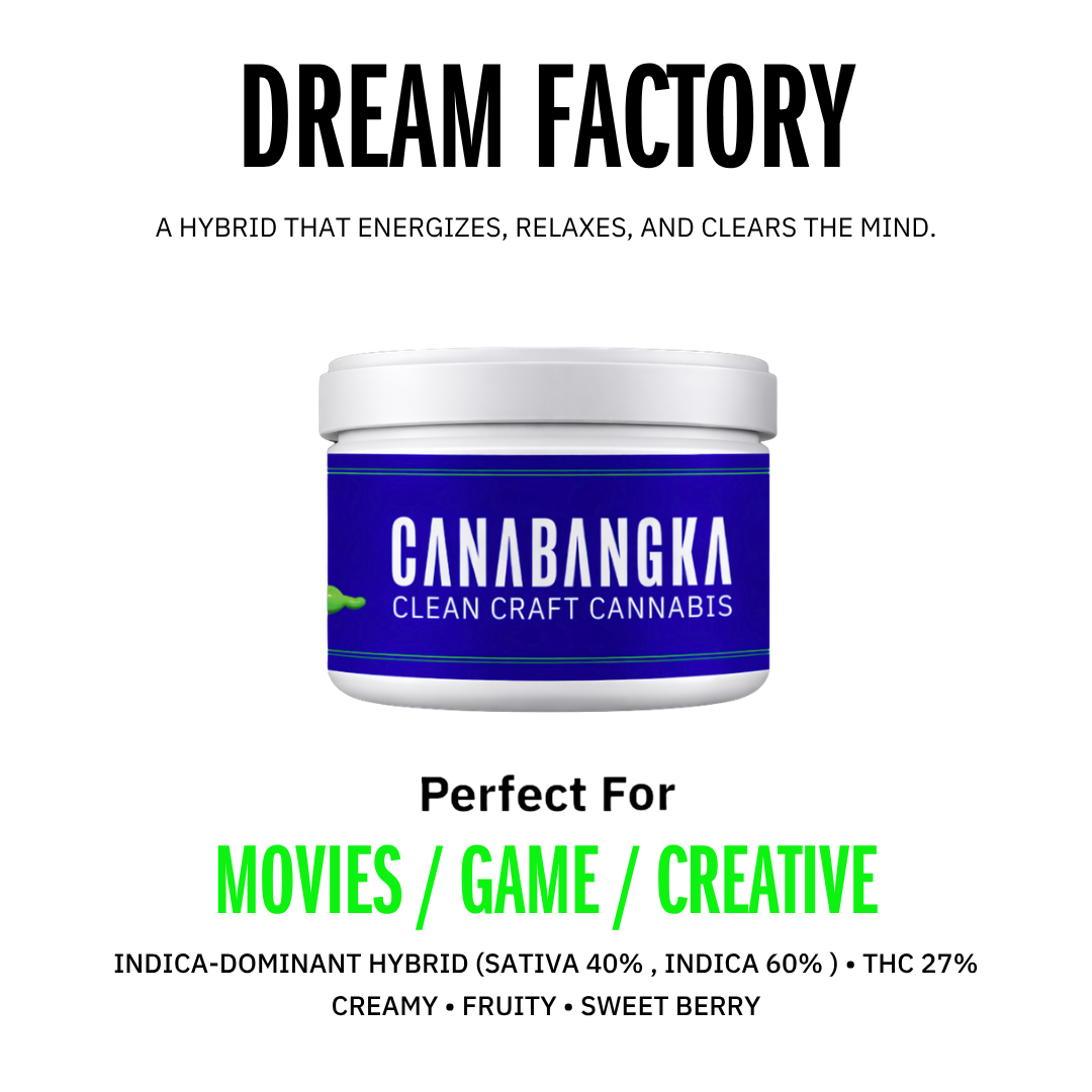 DREAM FACTORY