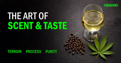 The Art of Scent & Taste