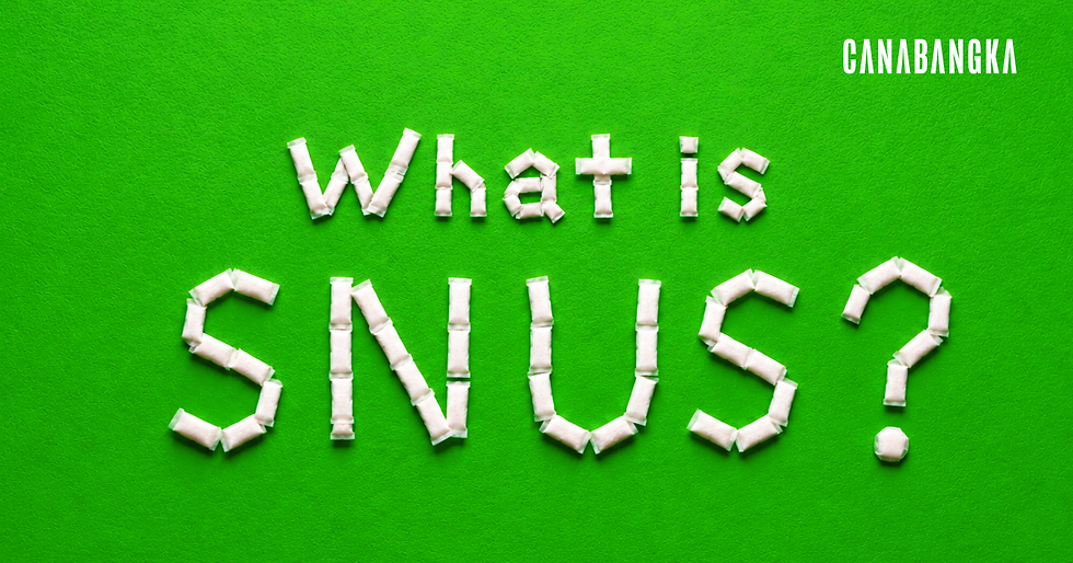 What is SNUS?