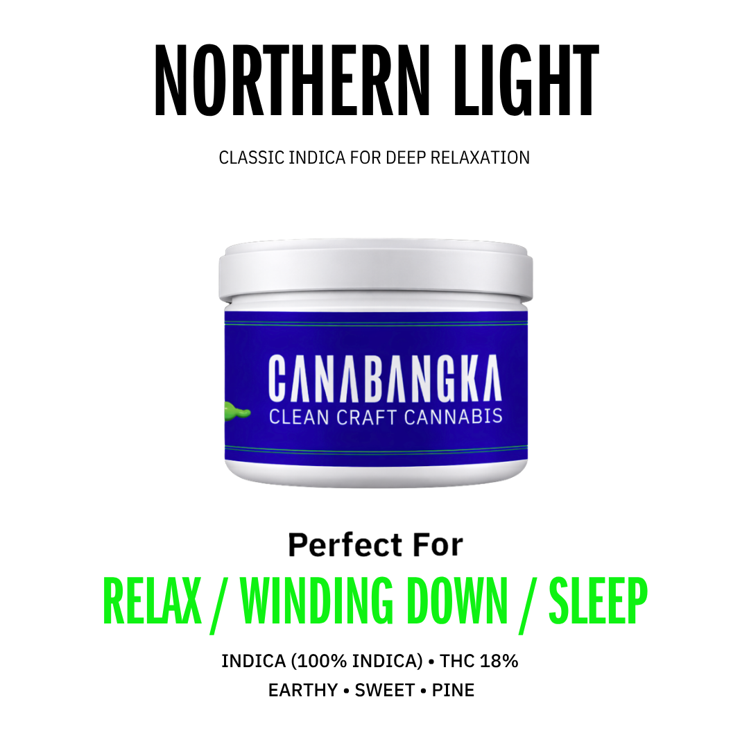 NORTHERN LIGHT