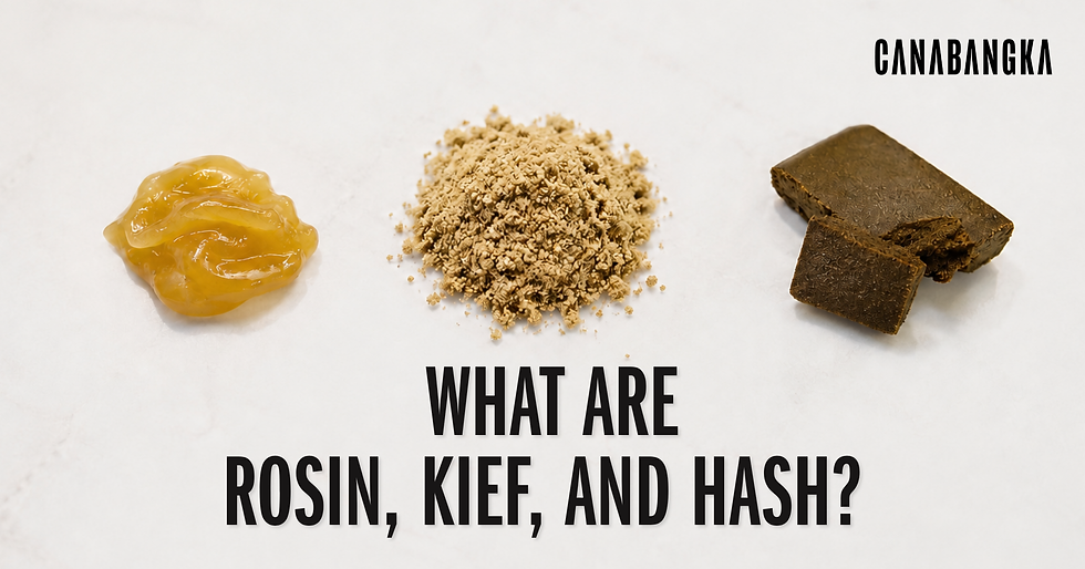 What Are Rosin, Kief, and Hash?