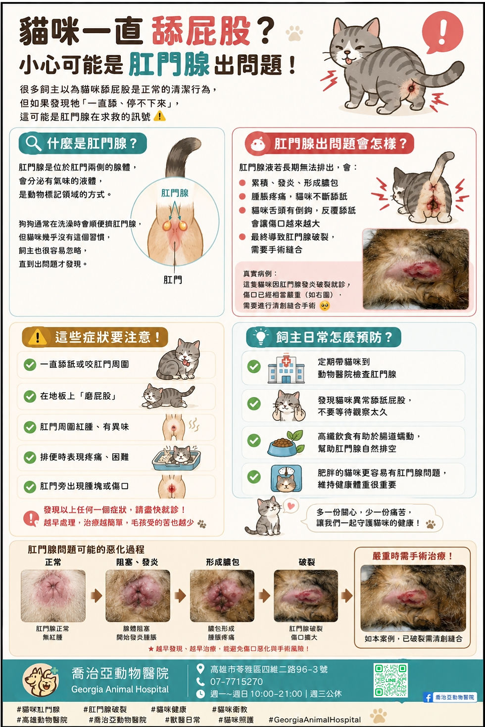 貓咪肛門腺衛教圖卡