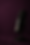 0cd84249-c304-4ffd-9818-ade0d1dab6d6.png