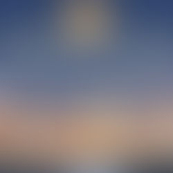 Shield Your Light: New Perspectives on Digital Scams in November 🌿✨  