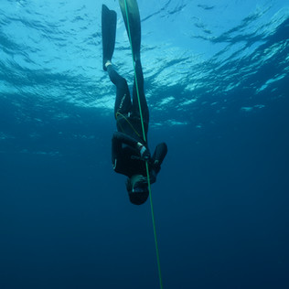 ocean bluex, training, freediving, molchanovs